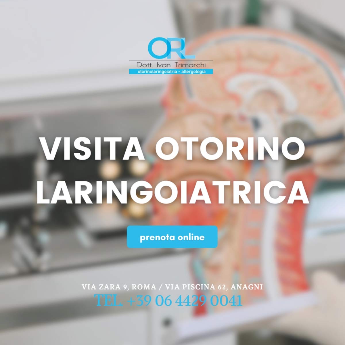 espertitalia_dtt_trimarchi_foto01